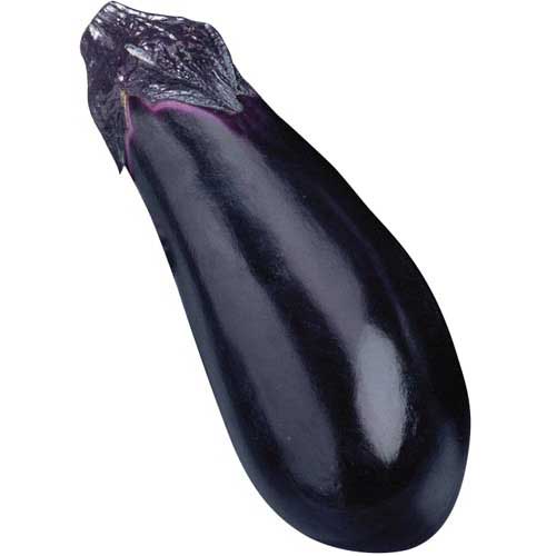 高知県産他　なす　１コ