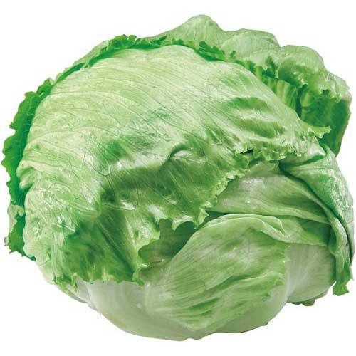 茨城県産他国内産　レタス　１玉（小玉）