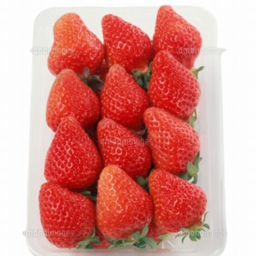 愛知県産他国内産　いちご　１パック(品種・サイズは入荷により変わります）