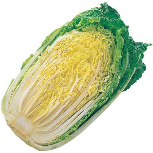 長野県産他国内産　白菜　１／２カット