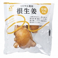 アクシアル　鹿児島県または宮崎県産他　ミネラル栽培　根生姜　８０ｇ