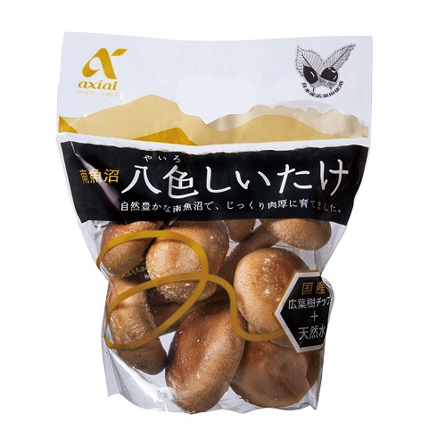 アクシアル　新潟県産　八色生しいたけ　菌床栽培　１袋